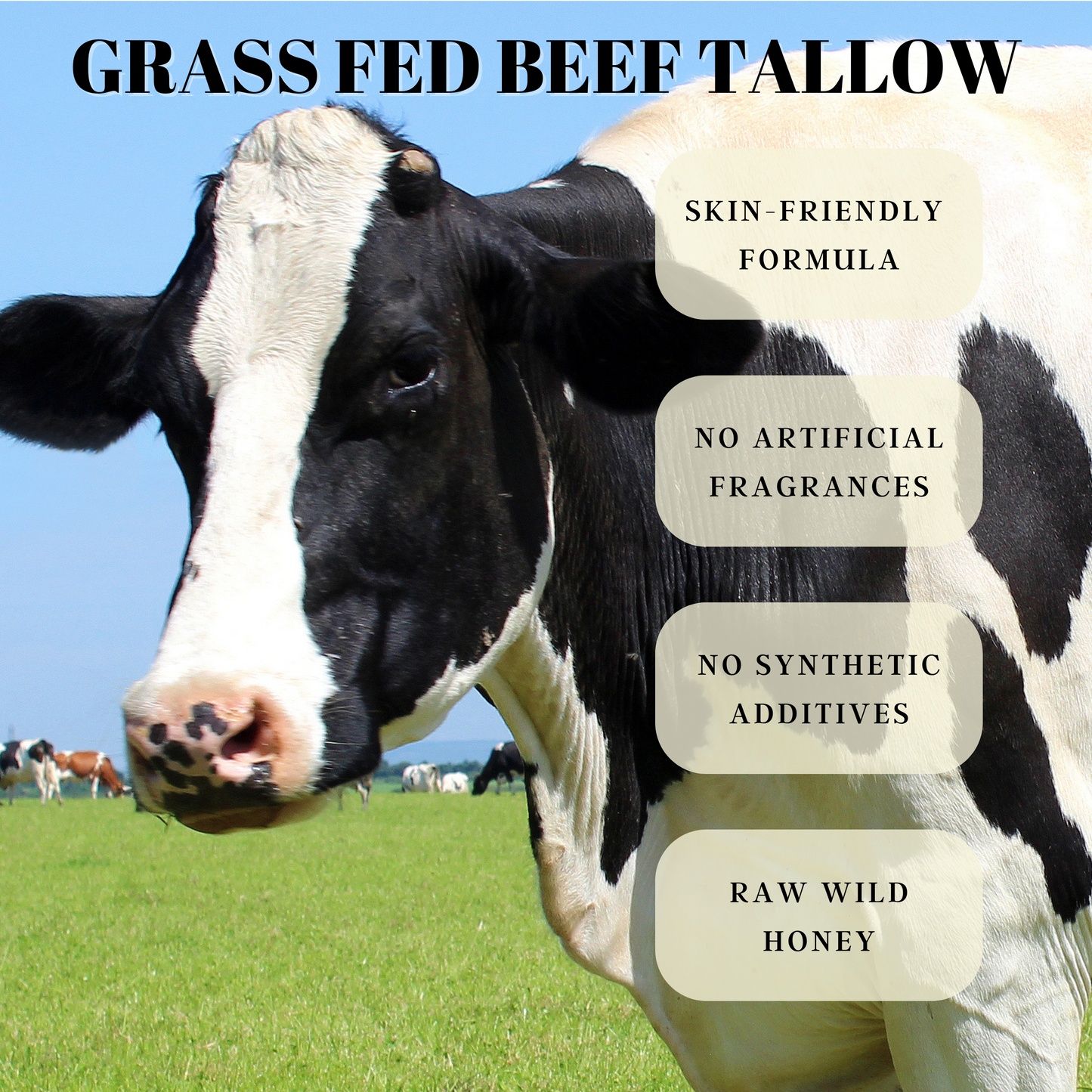 Beef tallow and Honey Balm