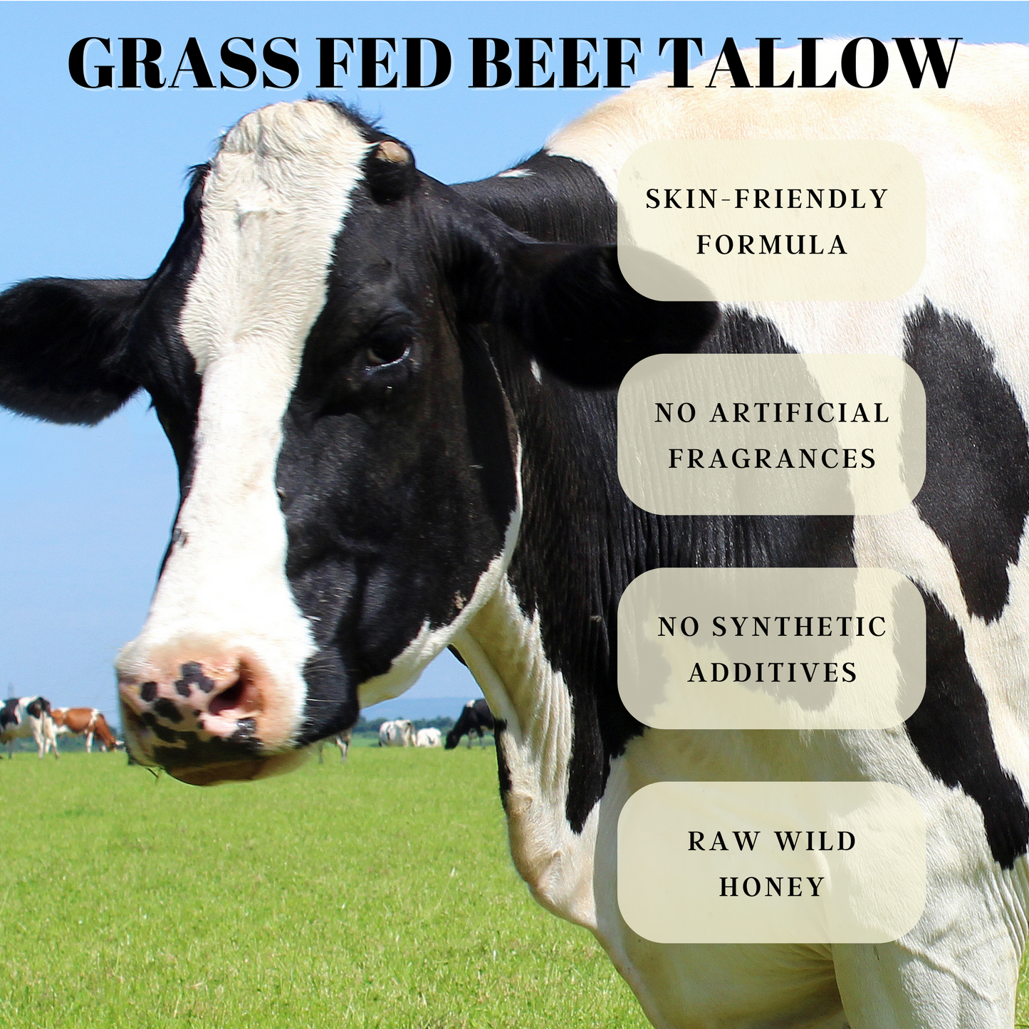 Beef tallow and honey balm， whipped tallow honey balm，grass fed beef tallow，all-natural moisturizer that hydrates and nourishes the skin，with a blend of grass-fed beef tallow, raw wild honey